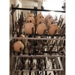 INCUBATOR OUA STRUT S-45