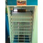 INCUBATOR OUA GASCA IP-6