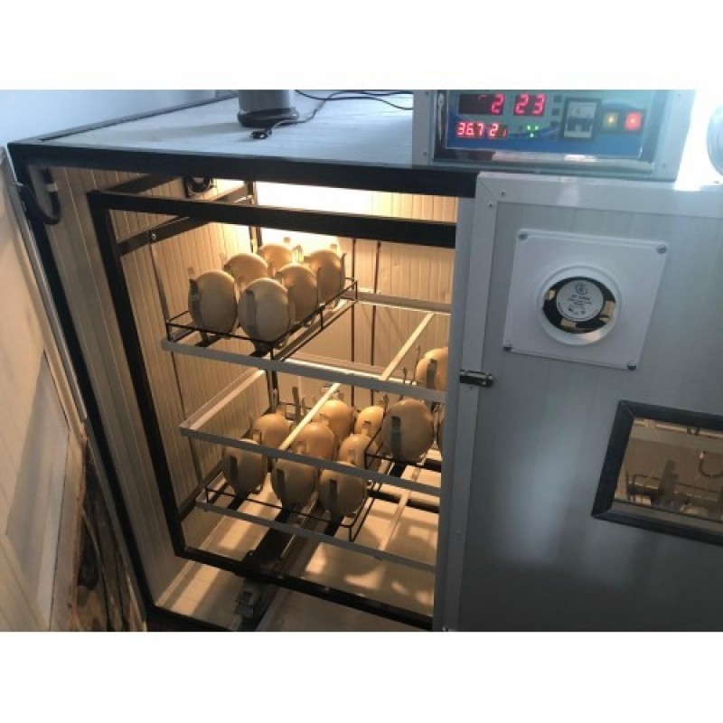 INCUBATOR OUA STRUT S-90